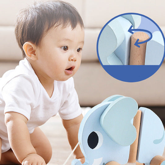 Wooden Cartoon Animal Educational Toys
